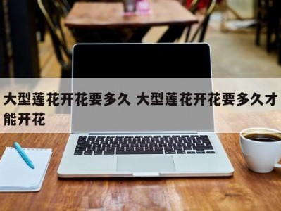 大型莲花开花要多久 大型莲花开花要多久才能开花