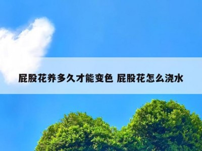 屁股花养多久才能变色 屁股花怎么浇水