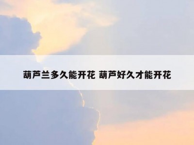葫芦兰多久能开花 葫芦好久才能开花