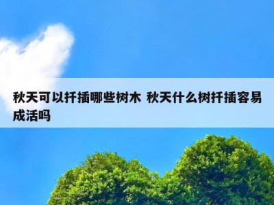 秋天可以扦插哪些树木 秋天什么树扦插容易成活吗