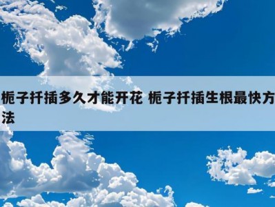 栀子扦插多久才能开花 栀子扦插生根最快方法