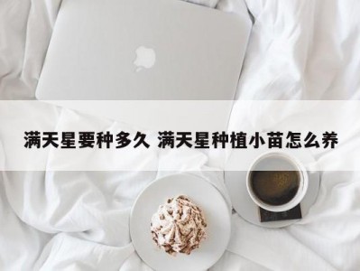 满天星要种多久 满天星种植小苗怎么养