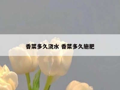 香菜多久浇水 香菜多久施肥