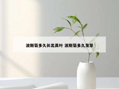 波斯菊多久长出真叶 波斯菊多久发芽