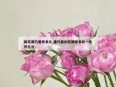 鲜花康乃馨养多久 康乃馨的花期有多长一年开几次