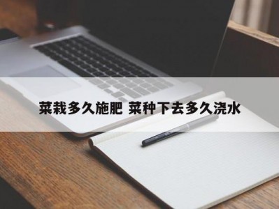 菜栽多久施肥 菜种下去多久浇水