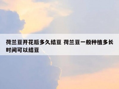 荷兰豆开花后多久结豆 荷兰豆一般种植多长时间可以结豆