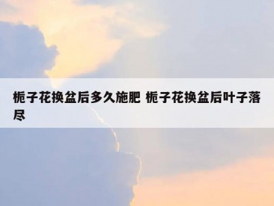 栀子花换盆后多久施肥 栀子花换盆后叶子落尽