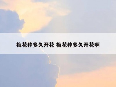 梅花种多久开花 梅花种多久开花啊