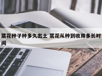 菜花种子种多久出土 菜花从种到收用多长时间