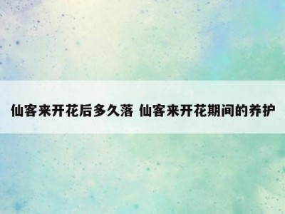 仙客来开花后多久落 仙客来开花期间的养护