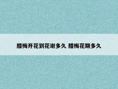 腊梅开花到花谢多久 腊梅花期多久