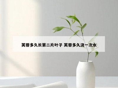 芙蓉多久长第二片叶子 芙蓉多久浇一次水