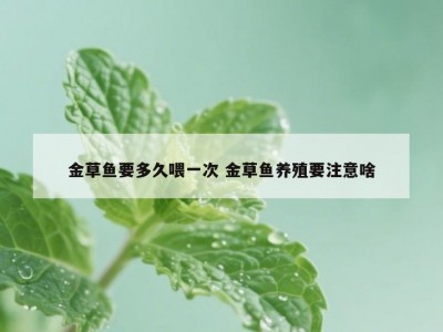 金草鱼要多久喂一次 金草鱼养殖要注意啥