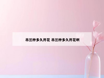 吊兰种多久开花 吊兰种多久开花啊