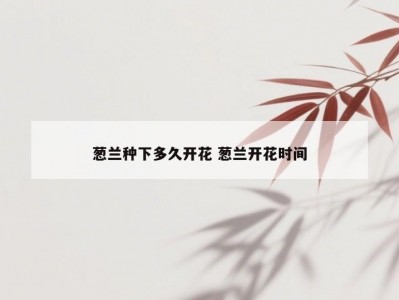 葱兰种下多久开花 葱兰开花时间