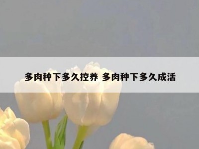 多肉种下多久控养 多肉种下多久成活