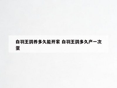 白羽王鸽养多久能开家 白羽王鸽多久产一次蛋