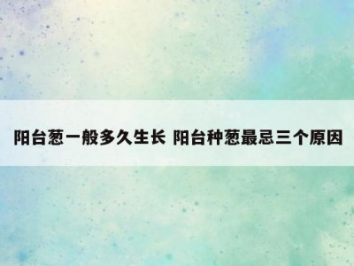 阳台葱一般多久生长 阳台种葱最忌三个原因