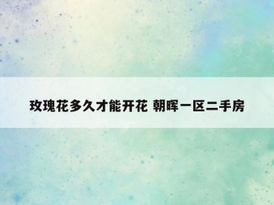 玫瑰花多久才能开花 朝晖一区二手房