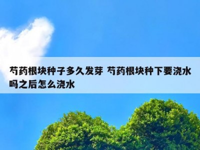 芍药根块种子多久发芽 芍药根块种下要浇水吗之后怎么浇水