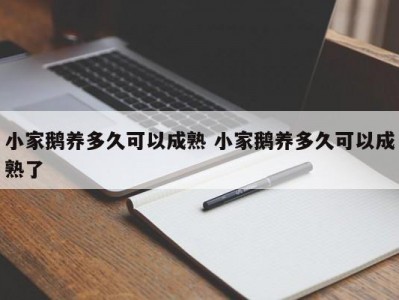 小家鹅养多久可以成熟 小家鹅养多久可以成熟了