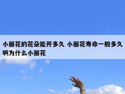 小丽花的花朵能开多久 小丽花寿命一般多久啊为什么小丽花
