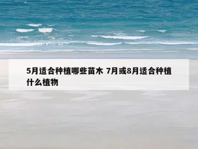 5月适合种植哪些苗木 7月或8月适合种植什么植物