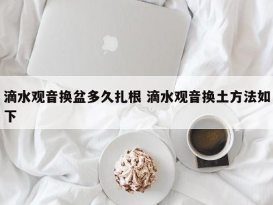 滴水观音换盆多久扎根 滴水观音换土方法如下