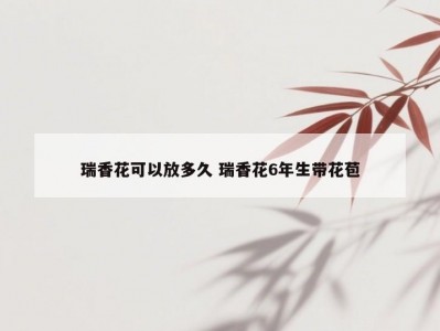 瑞香花可以放多久 瑞香花6年生带花苞