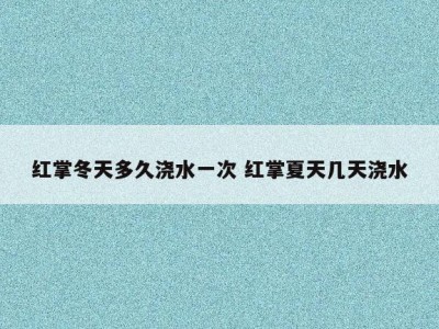 红掌冬天多久浇水一次 红掌夏天几天浇水