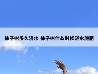 柿子树多久浇水 柿子树什么时候浇水施肥