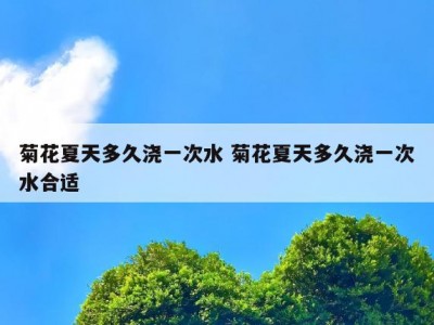菊花夏天多久浇一次水 菊花夏天多久浇一次水合适