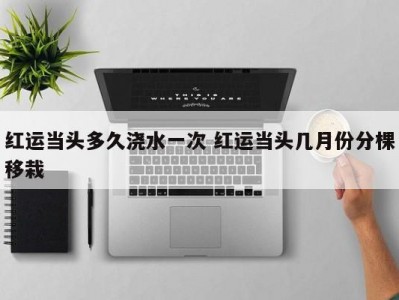 红运当头多久浇水一次 红运当头几月份分棵移栽