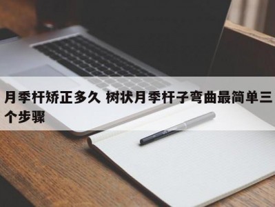 月季杆矫正多久 树状月季杆子弯曲最简单三个步骤