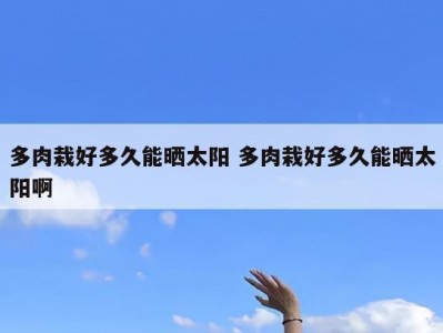 多肉栽好多久能晒太阳 多肉栽好多久能晒太阳啊