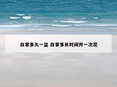 白掌多久一盆 白掌多长时间开一次花