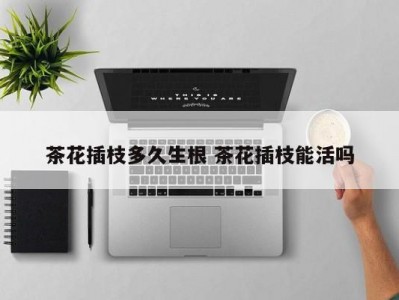 茶花插枝多久生根 茶花插枝能活吗