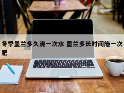冬季墨兰多久浇一次水 墨兰多长时间施一次肥