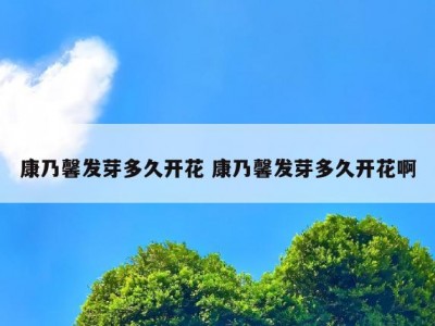 康乃馨发芽多久开花 康乃馨发芽多久开花啊