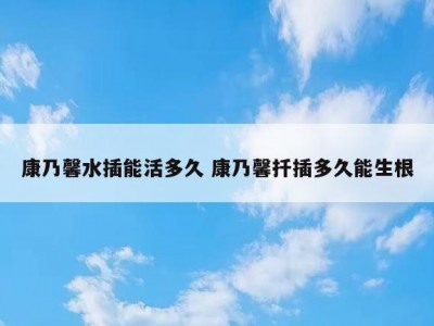 康乃馨水插能活多久 康乃馨扦插多久能生根
