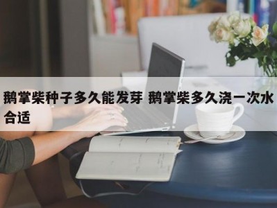 鹅掌柴种子多久能发芽 鹅掌柴多久浇一次水合适