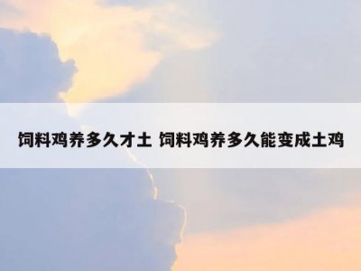 饲料鸡养多久才土 饲料鸡养多久能变成土鸡