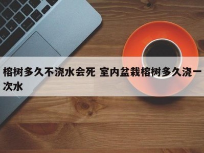 榕树多久不浇水会死 室内盆栽榕树多久浇一次水