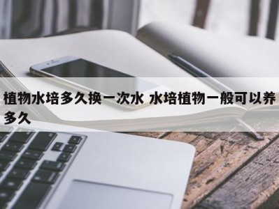 植物水培多久换一次水 水培植物一般可以养多久