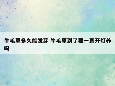 牛毛草多久能发芽 牛毛草到了要一直开灯养吗