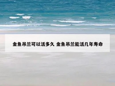 金鱼吊兰可以活多久 金鱼吊兰能活几年寿命