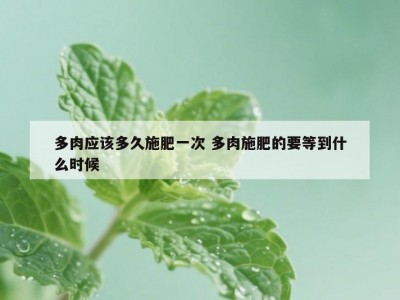 多肉应该多久施肥一次 多肉施肥的要等到什么时候