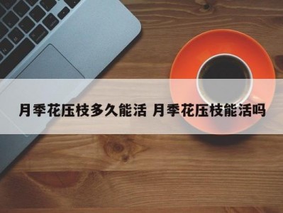 月季花压枝多久能活 月季花压枝能活吗