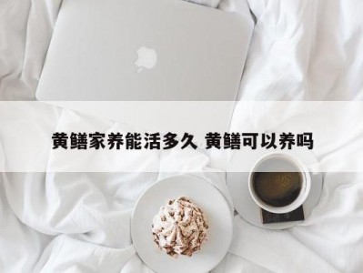 黄鳝家养能活多久 黄鳝可以养吗